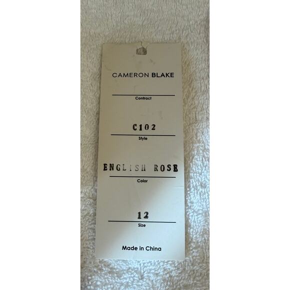 Cameron Blake Mother of Bride Formal Dress Gown 10 - Picture 14 of 16